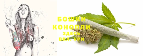 твердый Новодвинск