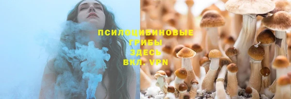 твердый Новодвинск