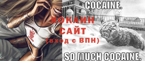 MDMA Новозыбков