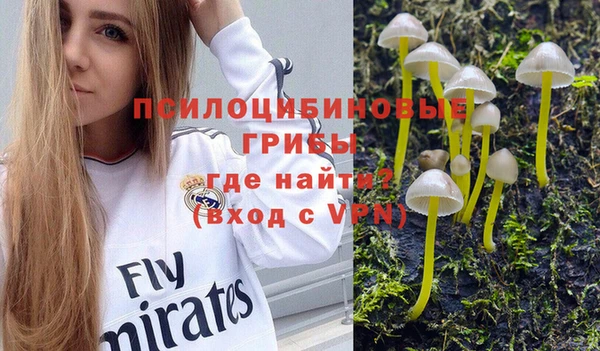 твердый Новодвинск