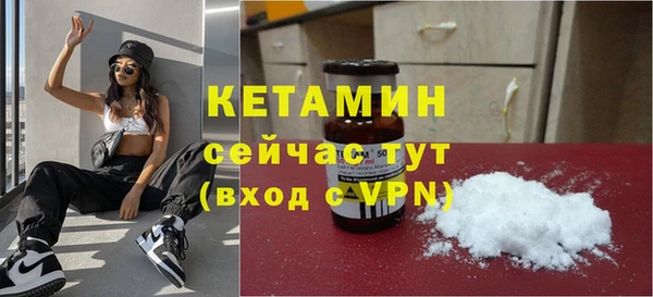 твердый Новодвинск