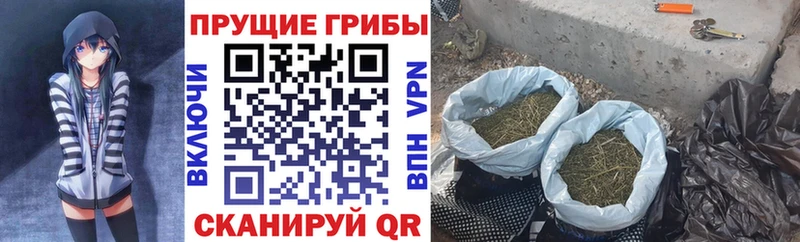 Галлюциногенные грибы Psilocybine cubensis  цены наркотик  Нариманов 